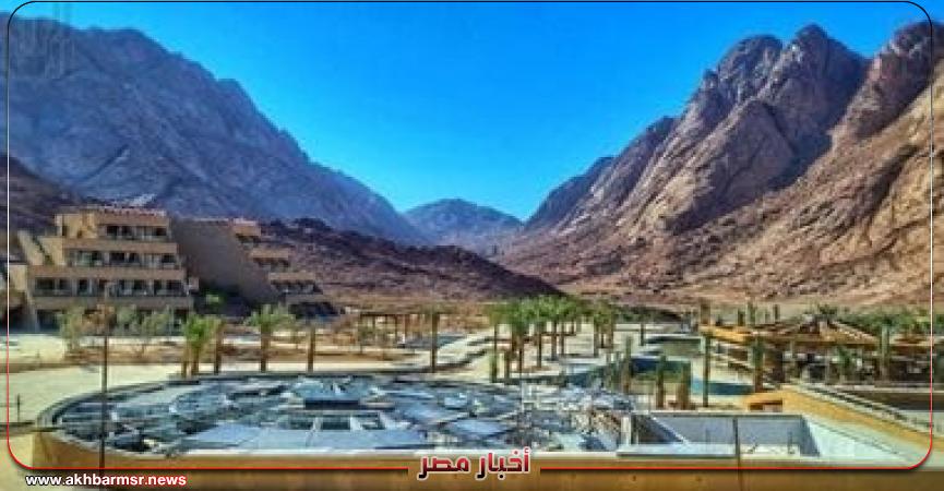 أخبار مصر 2050