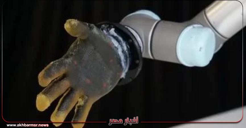 أخبار مصر 2050