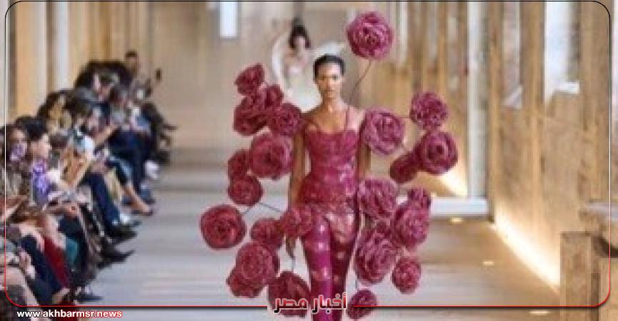 أخبار مصر 2050