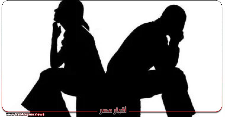 أخبار مصر 2050