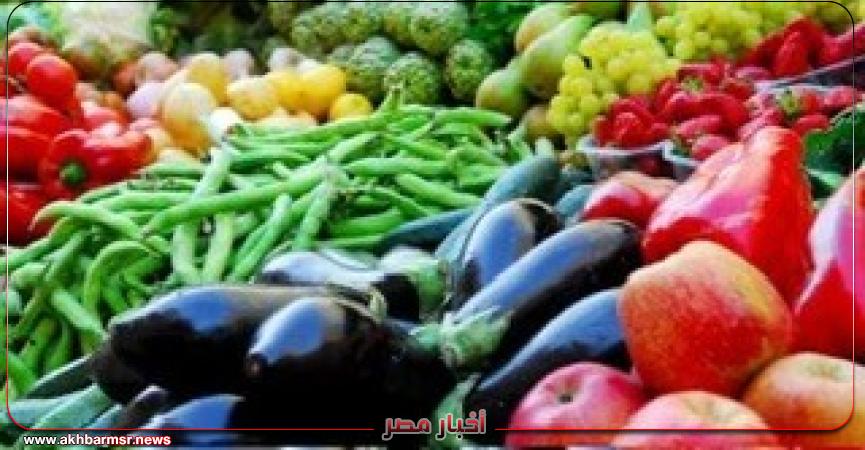 أخبار مصر 2050
