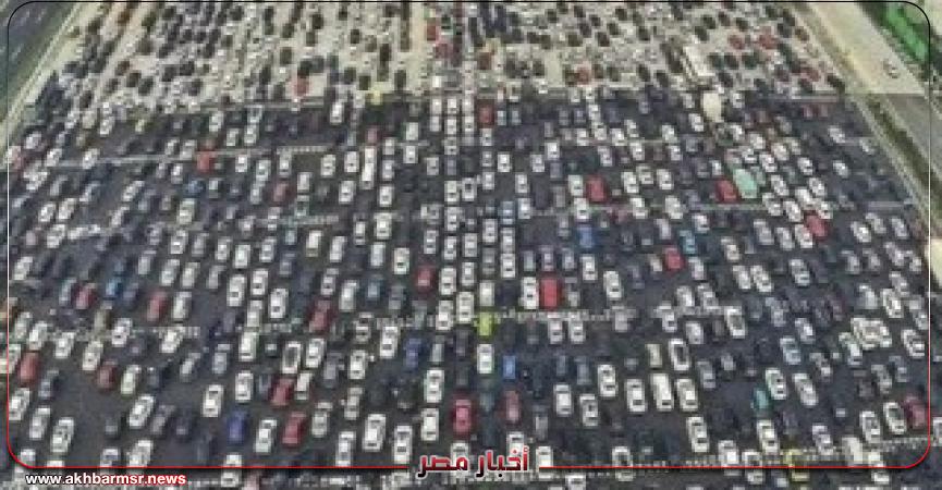 أخبار مصر 2050