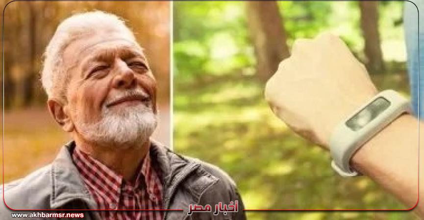 أخبار مصر 2050