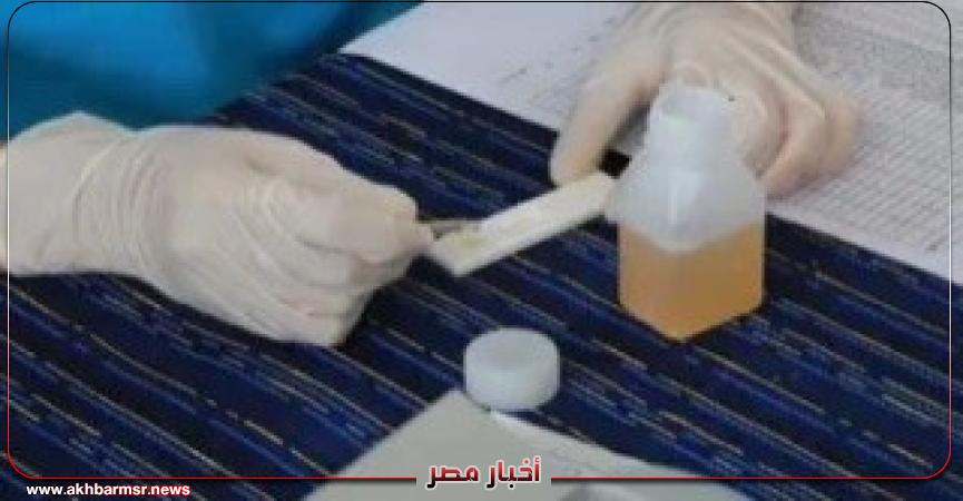 أخبار مصر 2050