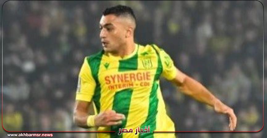 أخبار مصر 2050