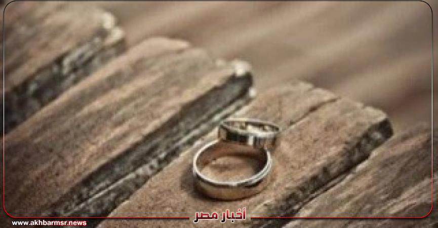 أخبار مصر 2050