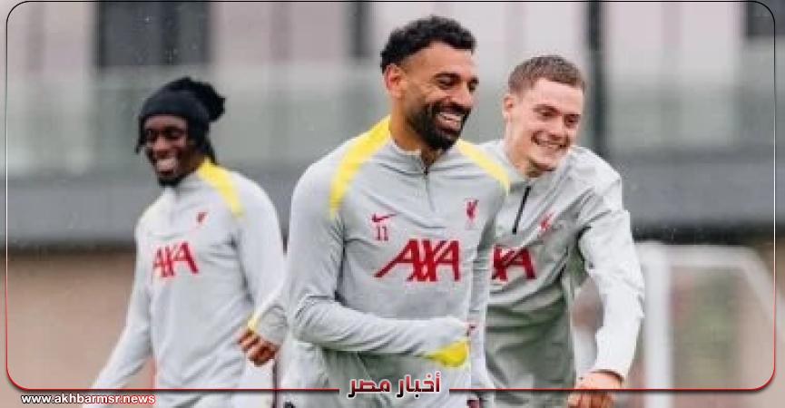 أخبار مصر 2050