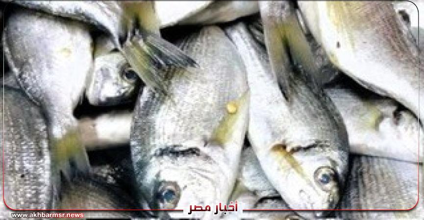 أخبار مصر 2050