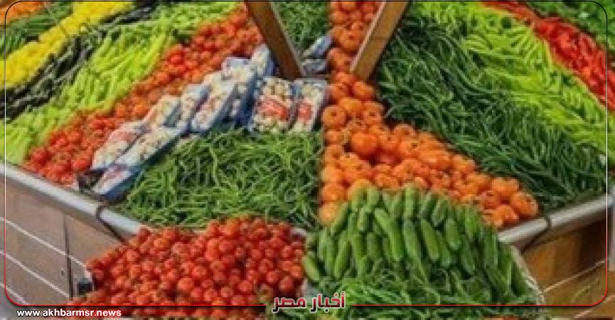 أخبار مصر 2050