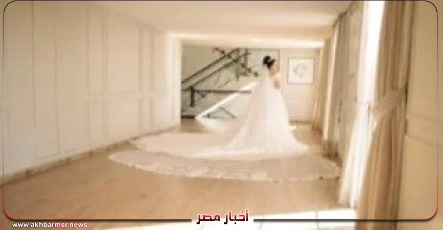 أخبار مصر 2050