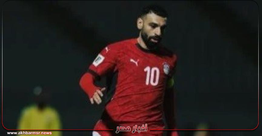أخبار مصر 2050