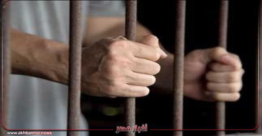 أخبار مصر 2050