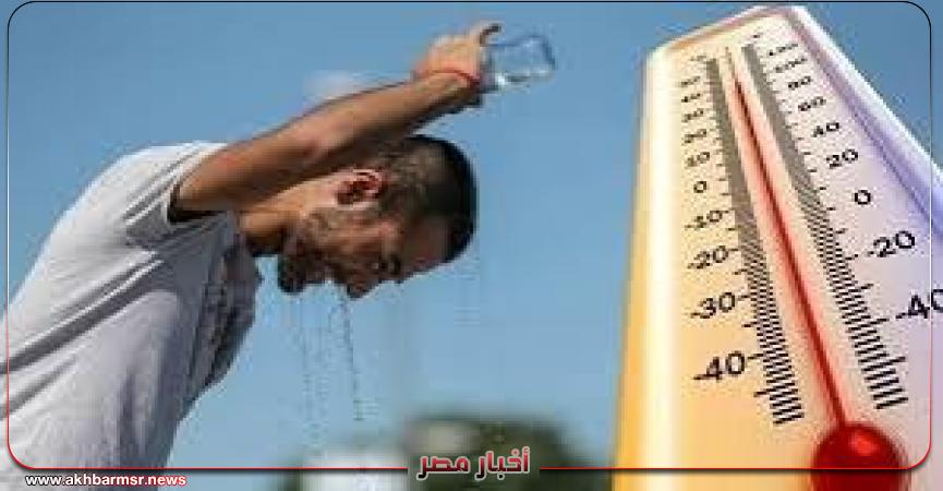 أخبار مصر 2050