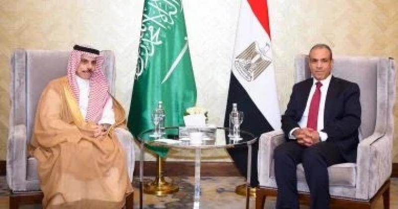 وزير الخارجية: نرفض أى محاولات يائسة للعلاقات بين مصر والسعودية