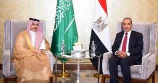 وزير الخارجية: نرفض أى محاولات يائسة للعلاقات بين مصر والسعودية