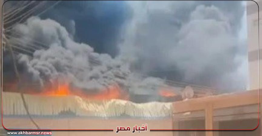 أخبار مصر 2050