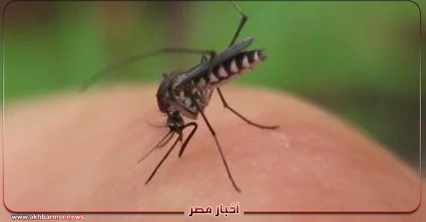 الملاريا