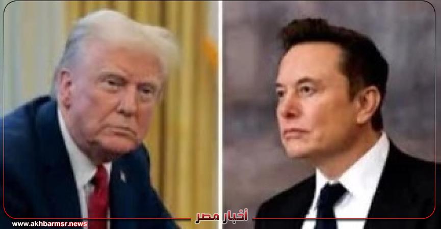 أخبار مصر 2050