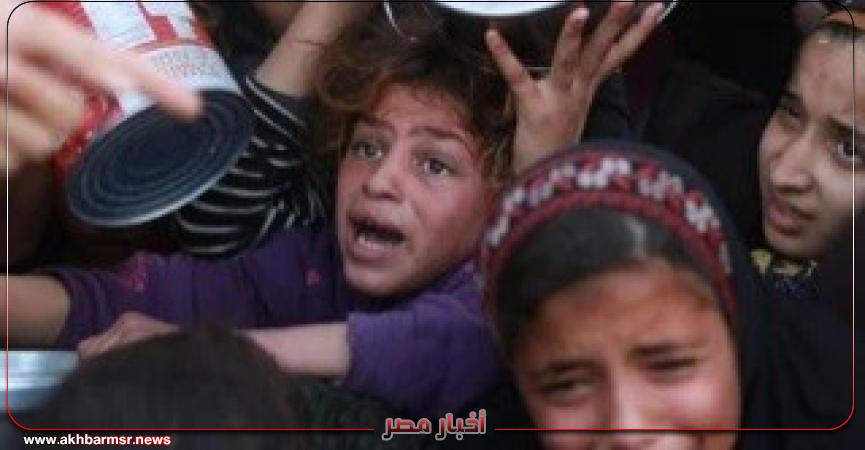 أخبار مصر 2050