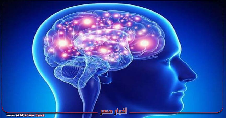 أخبار مصر 2050