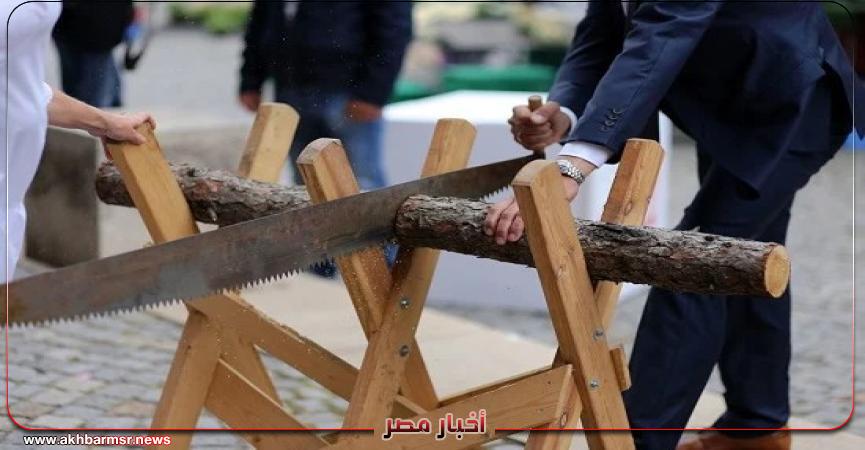 أخبار مصر 2050