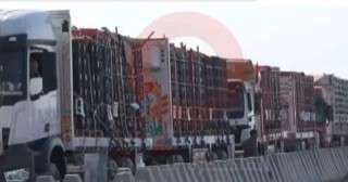 الخارجية: مصر أدخلت 70% من مساعدات غزة وتتحرك على 3 مسارات لدعم الفلسطينيين