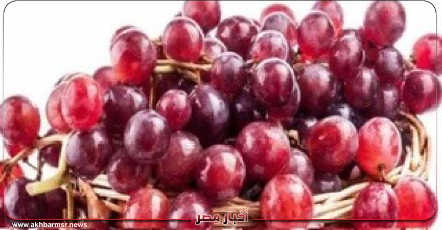 أخبار مصر 2050