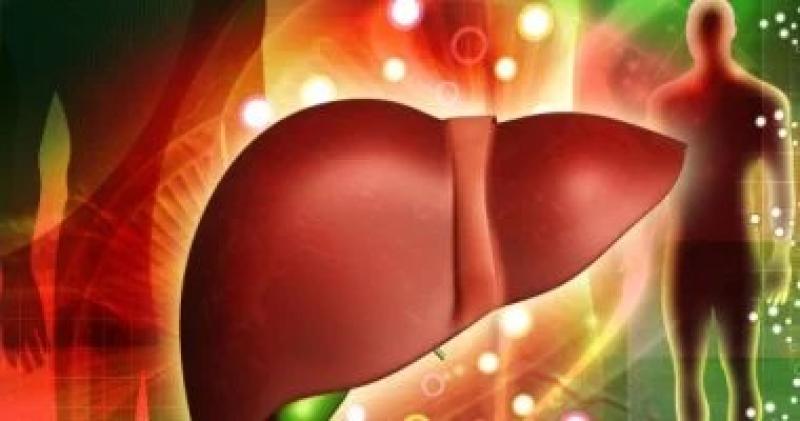 الصحة العالمية: التهاب الكبد الوبائي” د ” مرض مسبب للسرطان