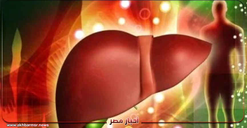 أخبار مصر 2050