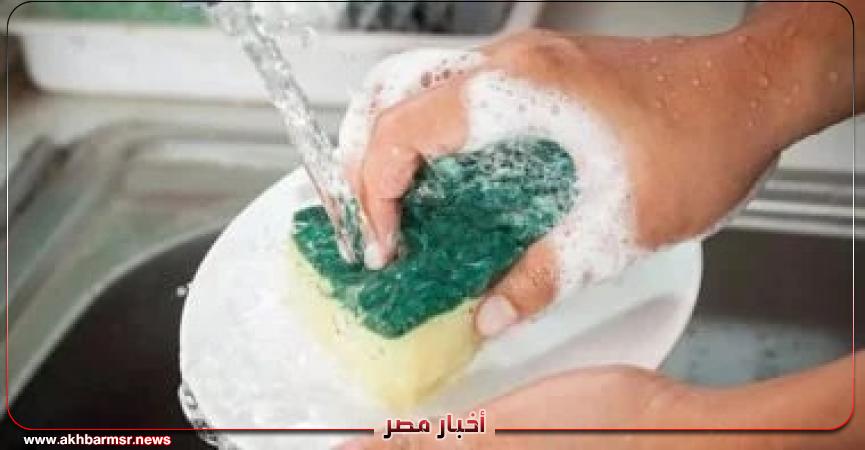 أخبار مصر 2050