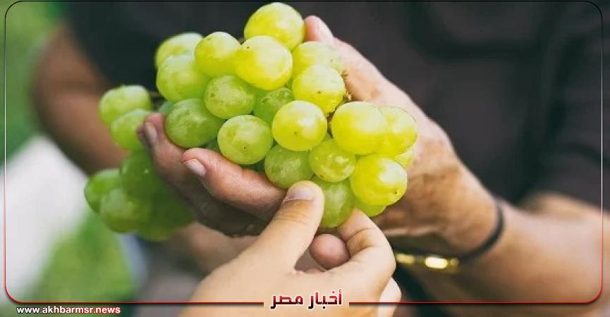 أخبار مصر 2050