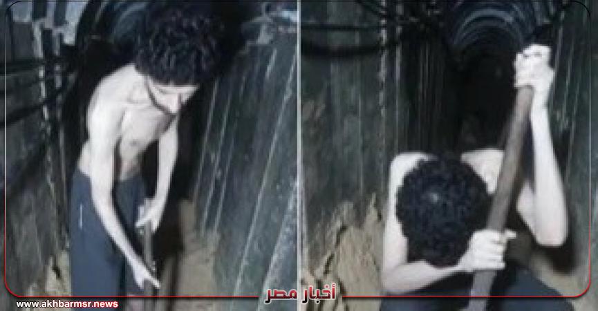 أخبار مصر 2050