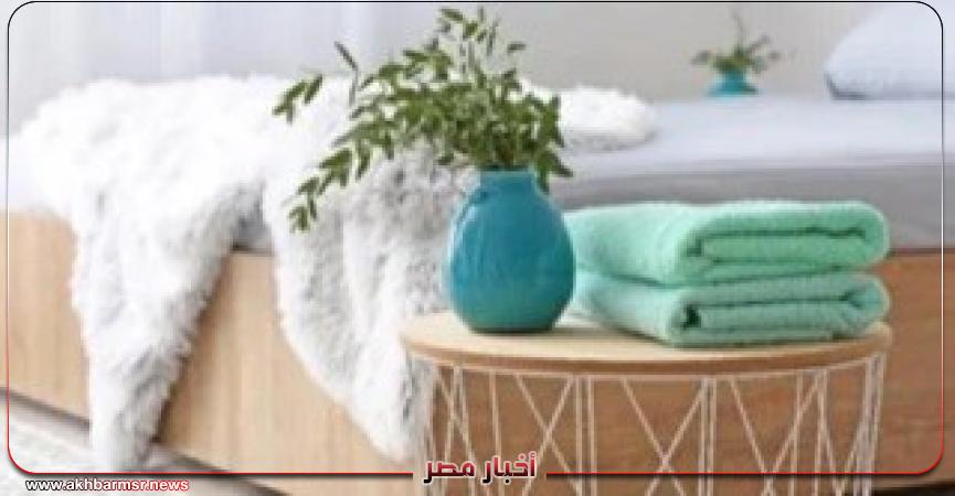 أخبار مصر 2050