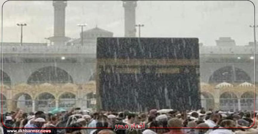 أخبار مصر 2050