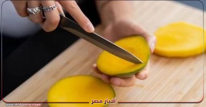 أخبار مصر 2050