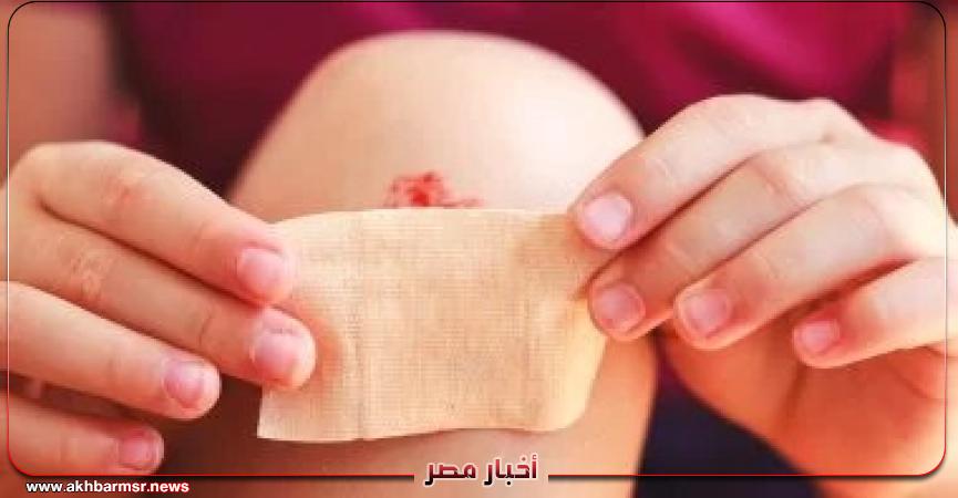 أخبار مصر 2050
