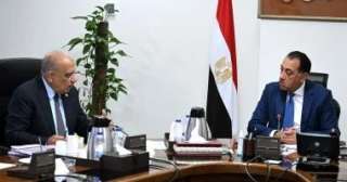 مدبولى يتابع الموقف التنفيذى لتوفير تغذية كهربائية لمشروعات الدلتا الجديدة