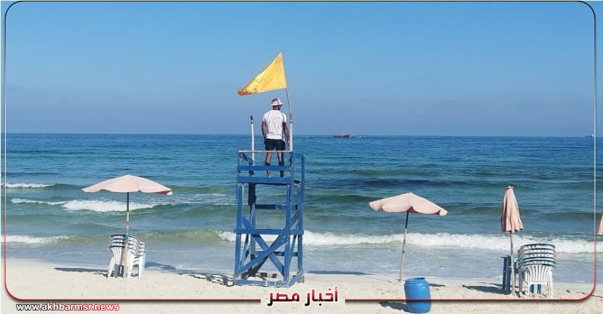 أخبار مصر 2050