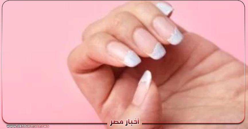 أخبار مصر 2050