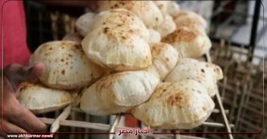أخبار مصر 2050