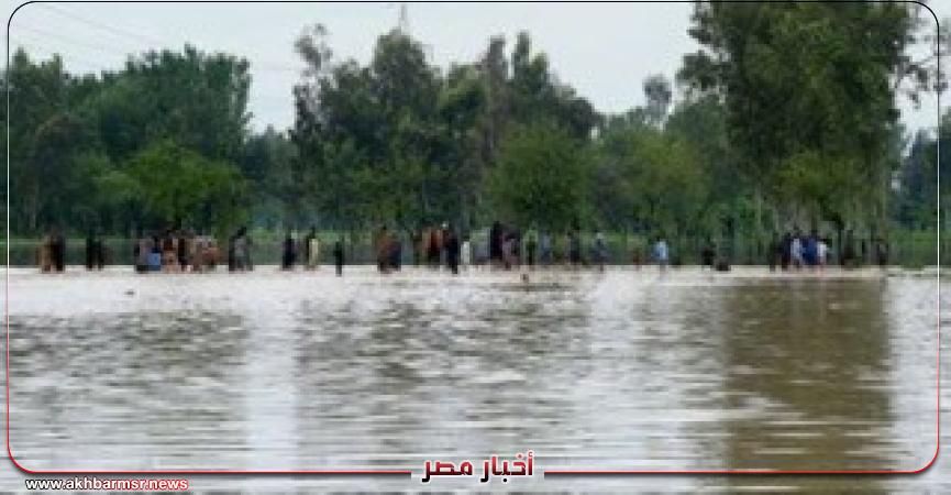 أخبار مصر 2050