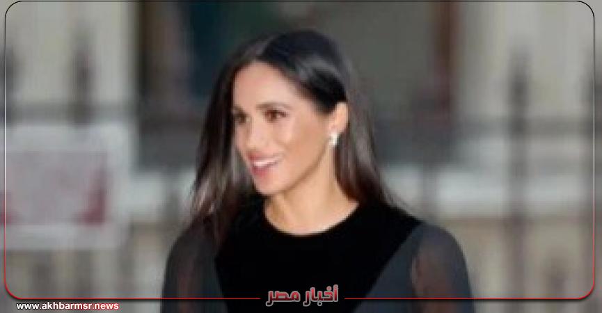 أخبار مصر 2050