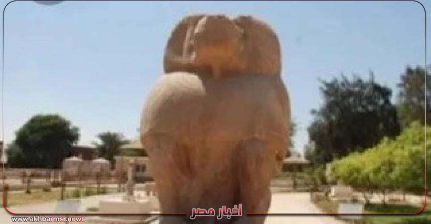 أخبار مصر 2050