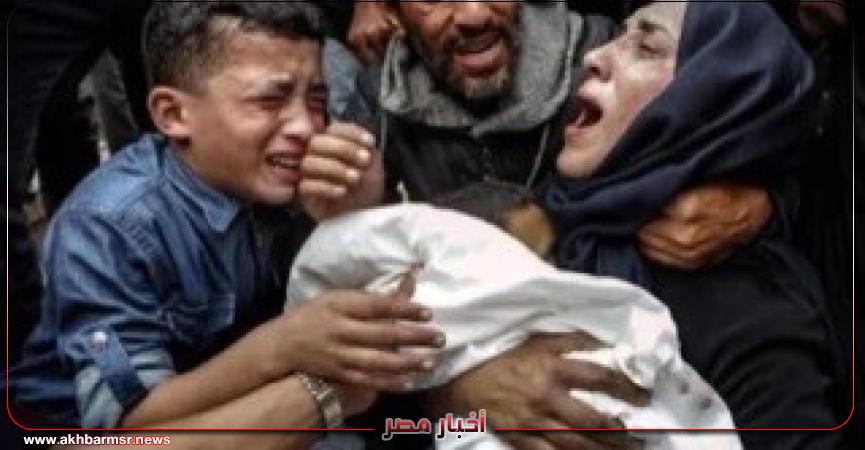 أخبار مصر 2050