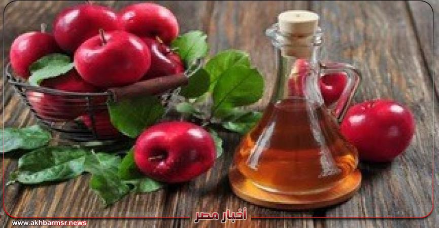 أخبار مصر 2050