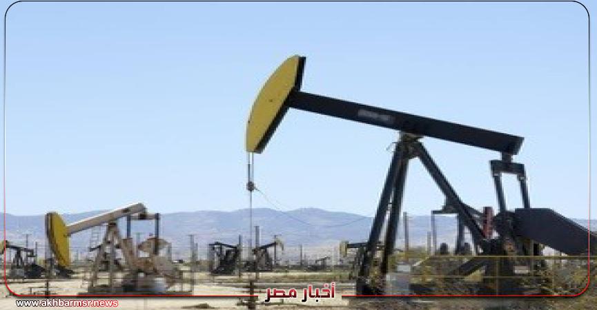 أخبار مصر 2050