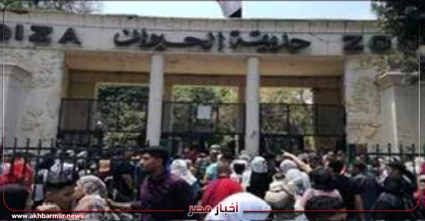 أخبار مصر 2050