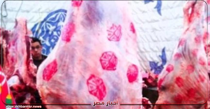 أخبار مصر 2050