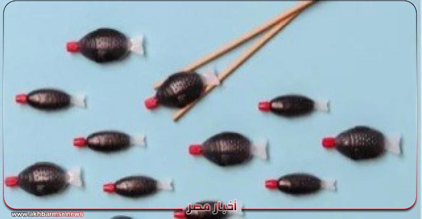 أخبار مصر 2050