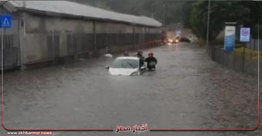 أخبار مصر 2050